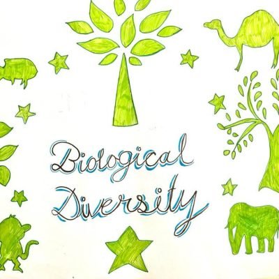 International Day for Biological Diversity (9)
